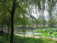 Albums/20060800-China Aug 2006/20060804-Shenyang University/25